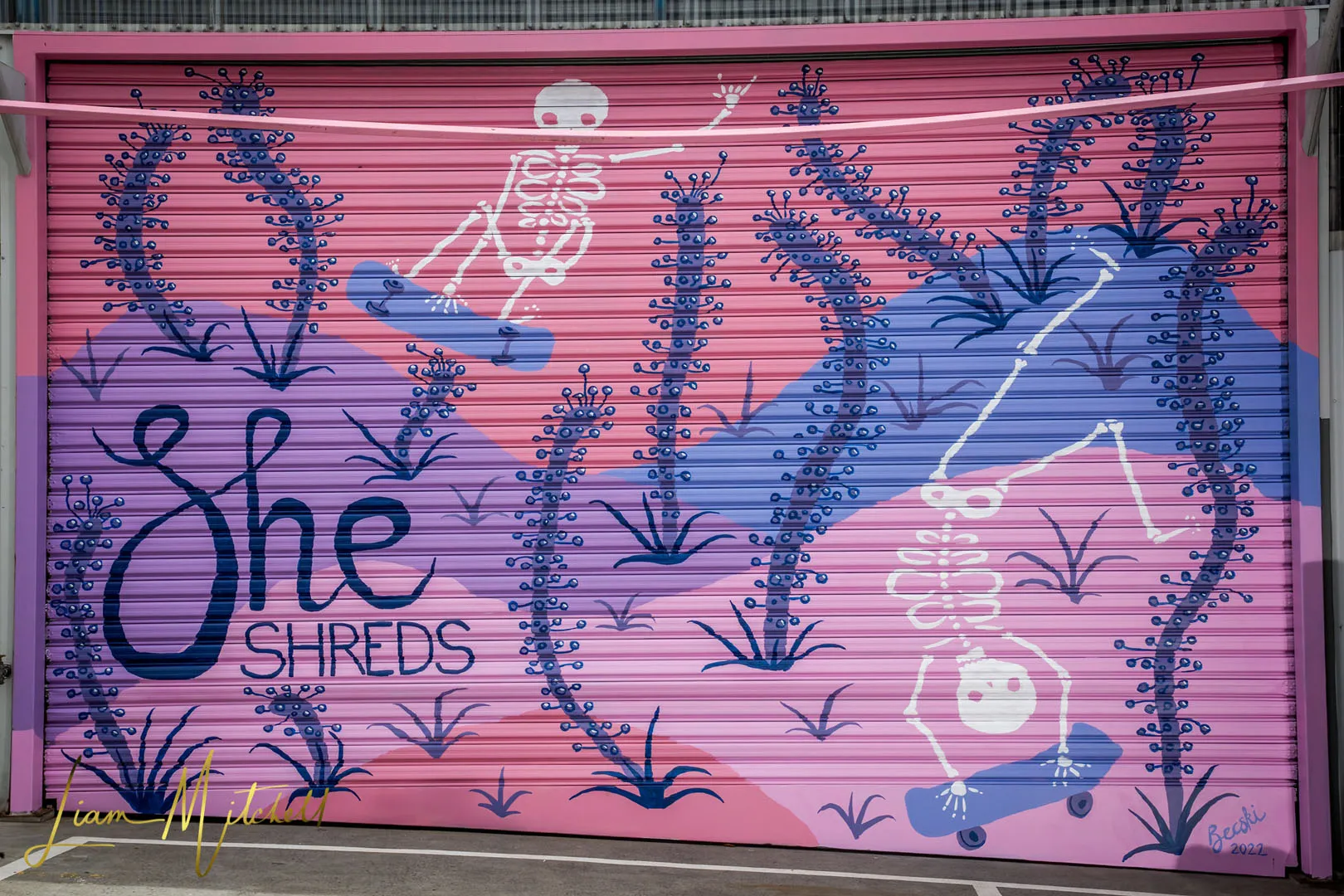 Roller door painted with a She Shreds mural of skeletons skateboarding among purple seaweed